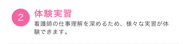 体験実習